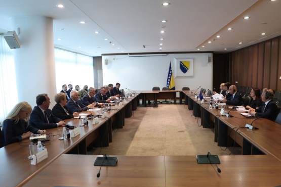 Članovi Kolegija Doma naroda i Predstavničkog doma PSBiH razgovarali sa generalnim sekretarom Vijeća Evrope